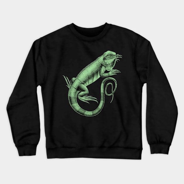 Dramabite Iguana Lizard Reptile Leguan Green Pet Animal Herpetologist Crewneck Sweatshirt by dramabite